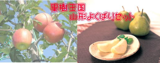 ���t�����X��񂲃Z�b�g