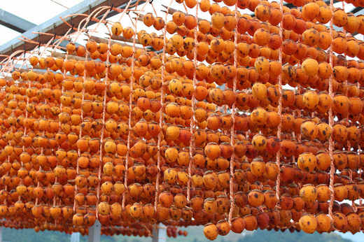 �����`�@�����g�`